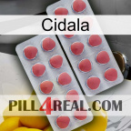 Cidala 19